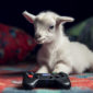 A guide to the most valuable Retro Gaming Consoles
