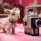 Review of Vintage Mini DV Cameras