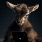 A cute baby goat holding a iPad Pro tablet. Review of the best business tablets for 2023.